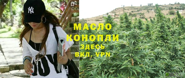 мдпв Богданович