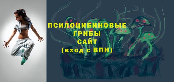 мдпв Богданович