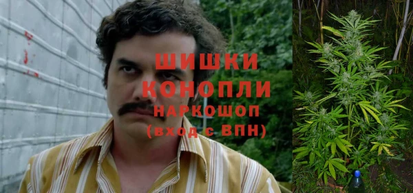 мдпв Богданович