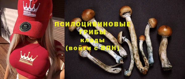 мдпв Богданович