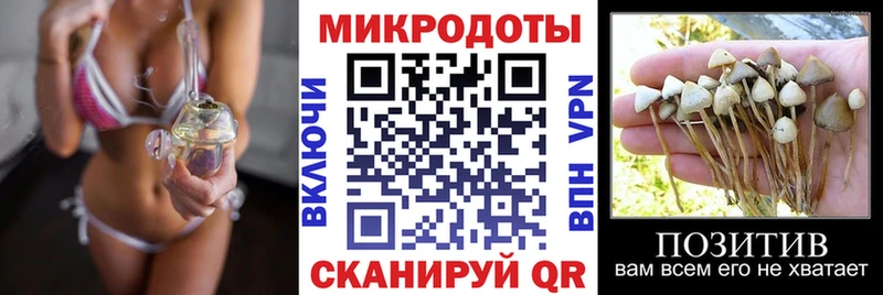 Галлюциногенные грибы прущие грибы  Хотьково 